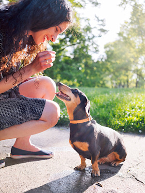 Woman training her puppy to sit outside.