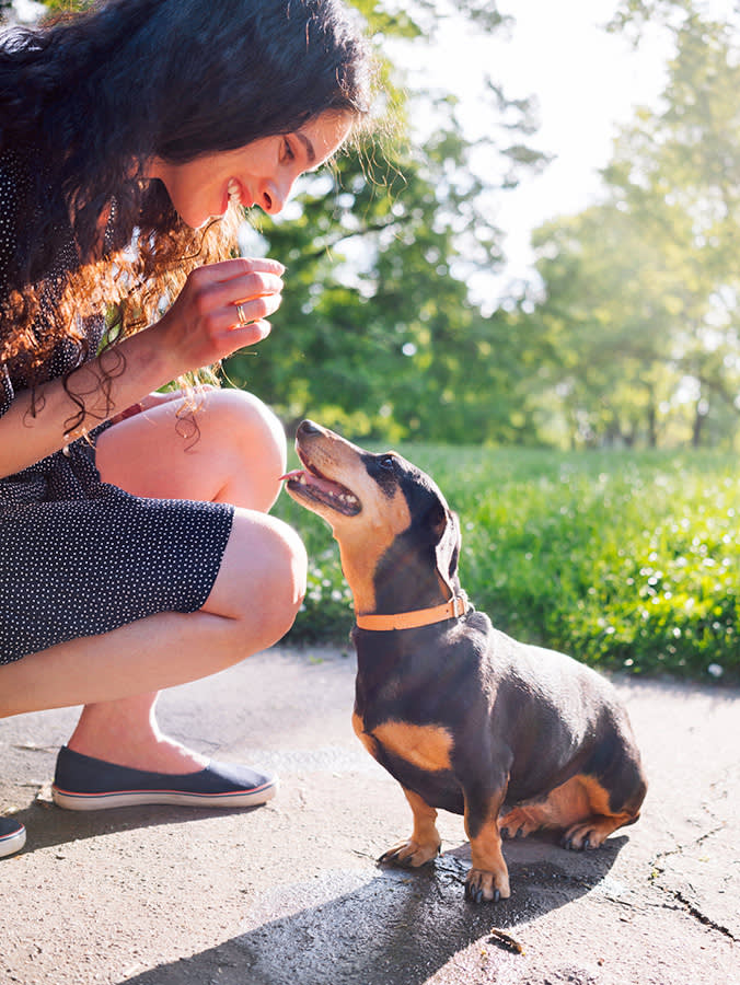 Woman training her puppy to sit outside.