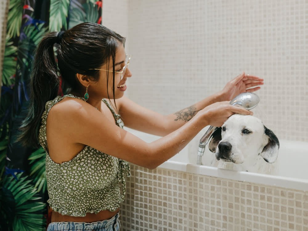 Woman carefully cleaning a dog in a bathtub.

