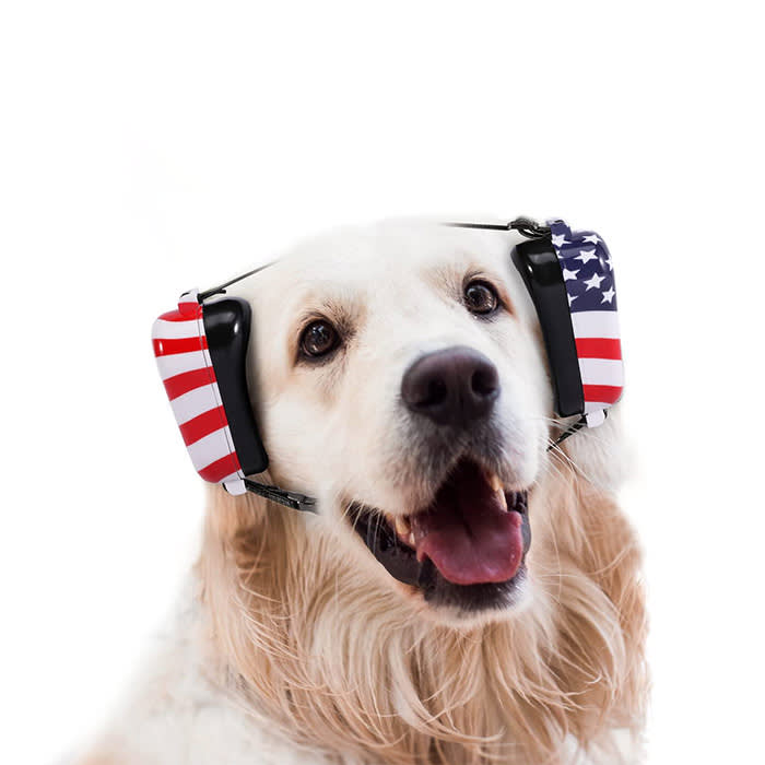 dog in USA flag patterned ear muffs