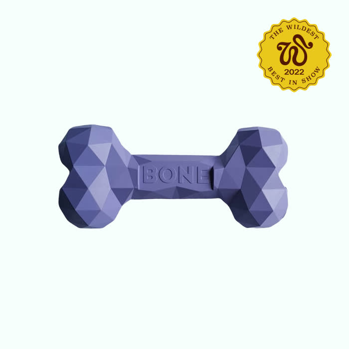 purple dog bone toy