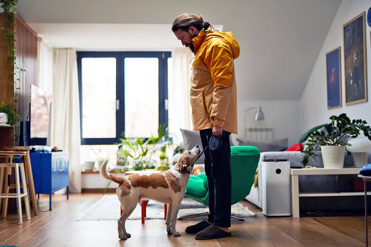 A dog looking up at a person