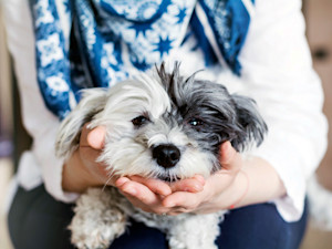 Woman holding her dog in her hands at home.