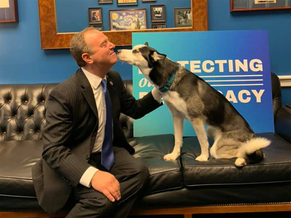 adam schiff and husky