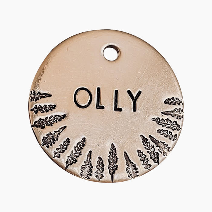 dog tag with name "olly" etched into it