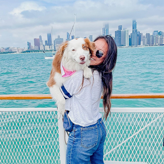 a dog on a ship with a city view