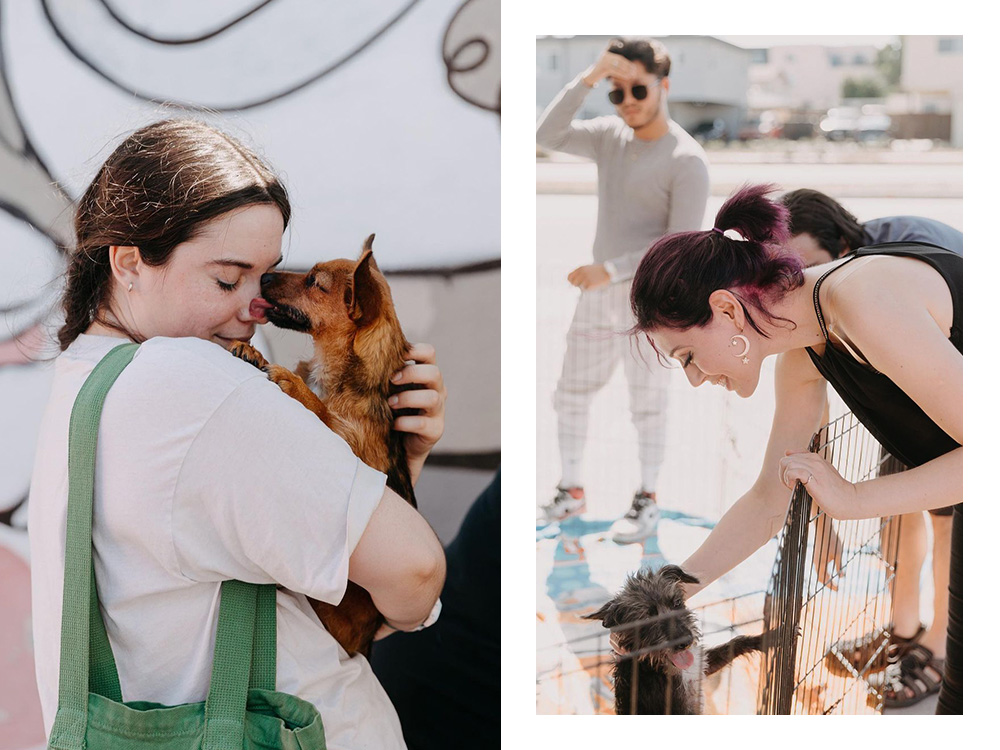 pups without borders