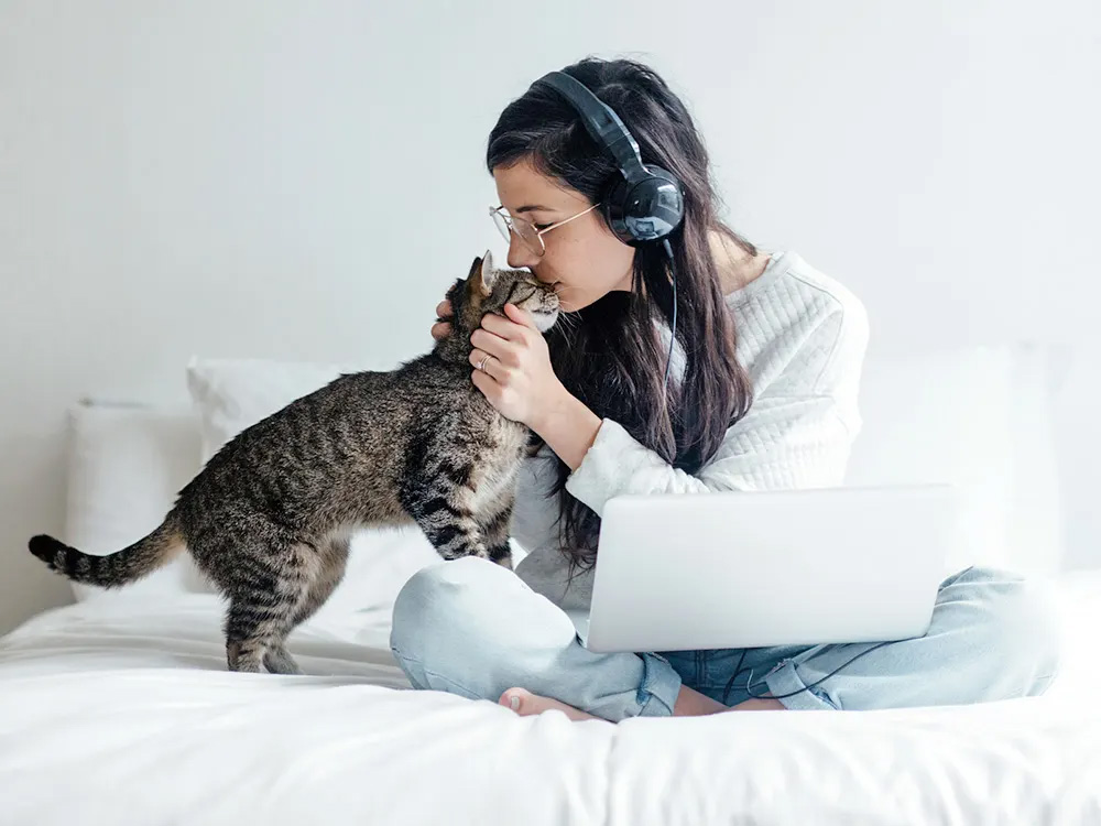 a cat snuggling with their pet parent