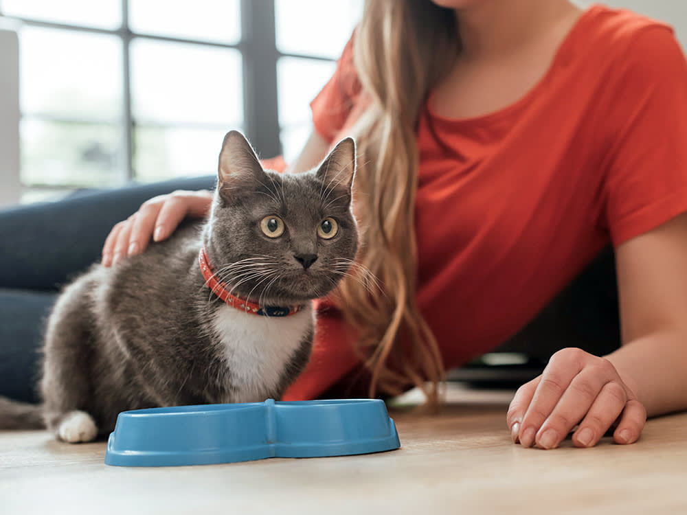Woman laying on the floor with her cat at home.