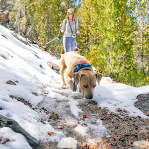 Woman going on hike with her dog in the snow.
