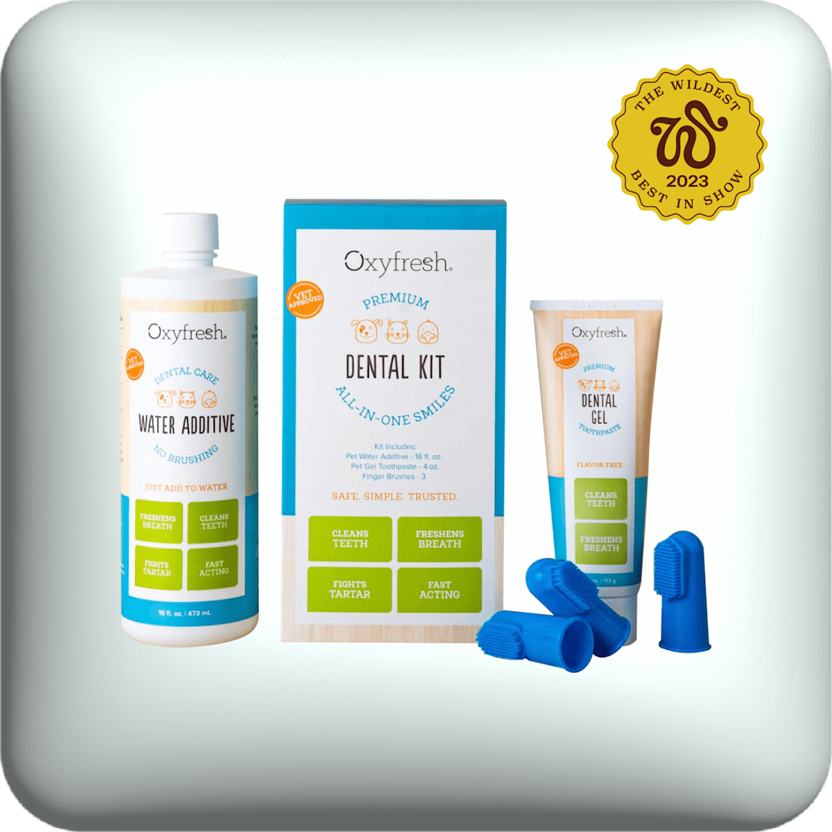 oxyfresh premium dental kit
