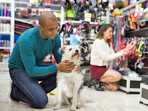 People browsing in a pet store.