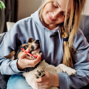 woman smiling while trimming dog’s nails