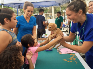 A little girl reaching her arms out to pet a puppy at a humane society event outside. 