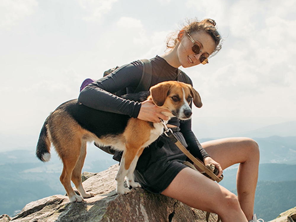 A dog sits on a rock during a hike with a woman.