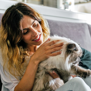 Woman petting her long haired cat on the sofa.