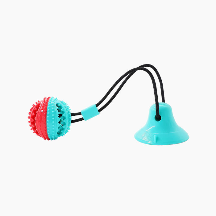 Dog Chew With Suction Cups
