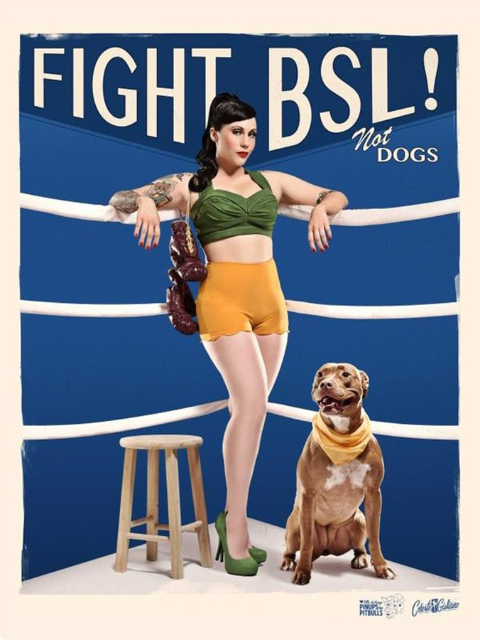 fight BSL Pinups for Pitbulls