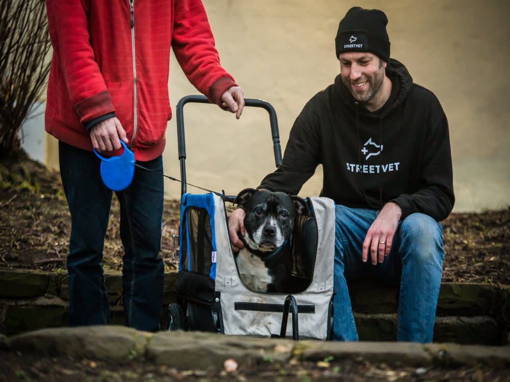 A dog sitting in a wheely carrier with someone holding their lead and a Streetvet volunteer sitting next to them. 