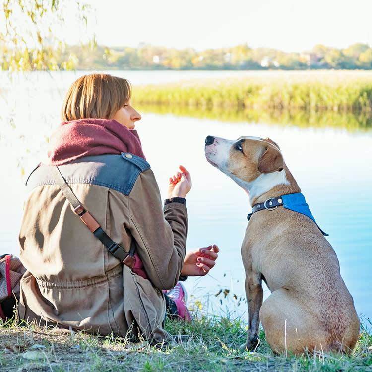 Woman talking to her dog outside at the park.
