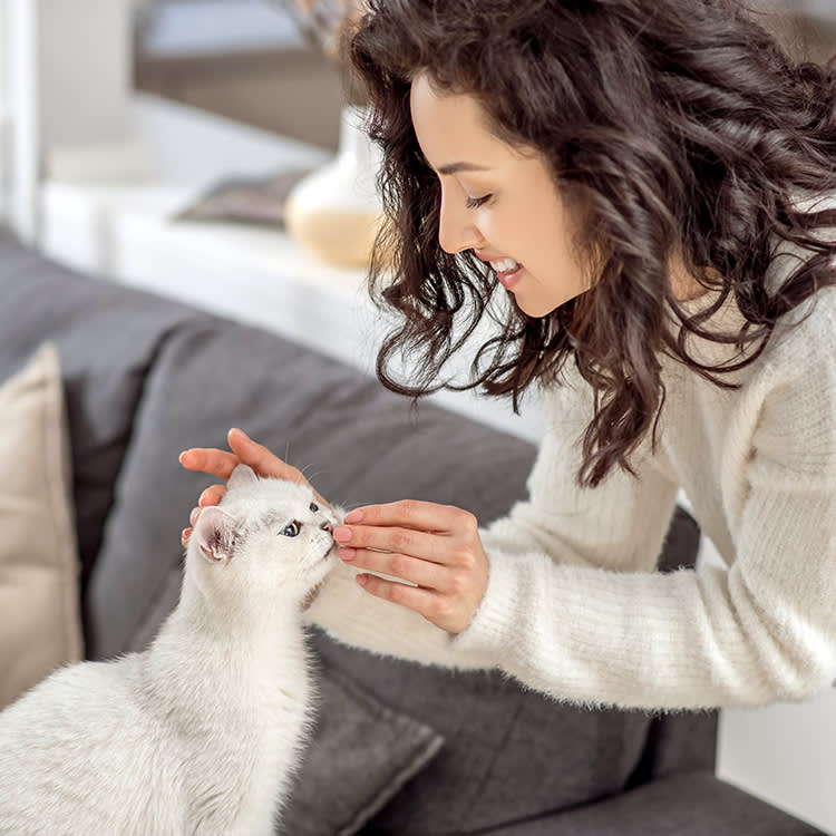 Woman giving her white cat a vitamin.