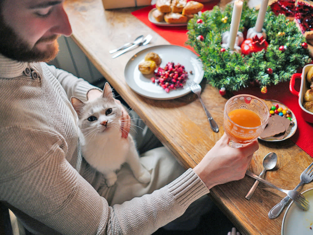 a man sits at a table set for Christmas with a cat on his lap
