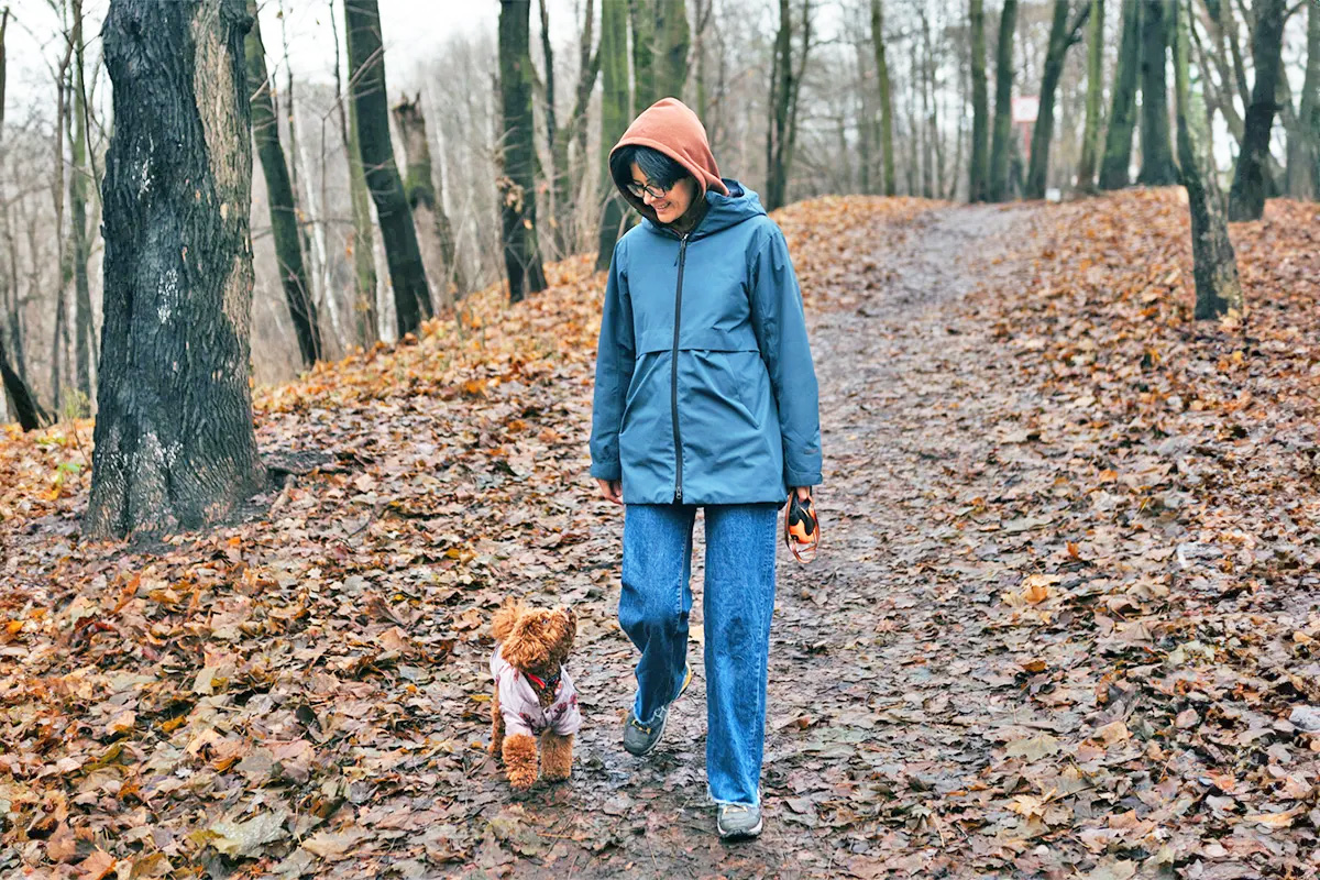 Dog walking in leaves