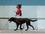 Owner and black dog running outside against blue backdrop