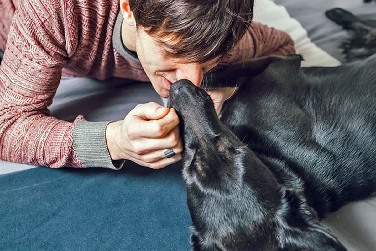 a man puts his nose against his dog’s nose