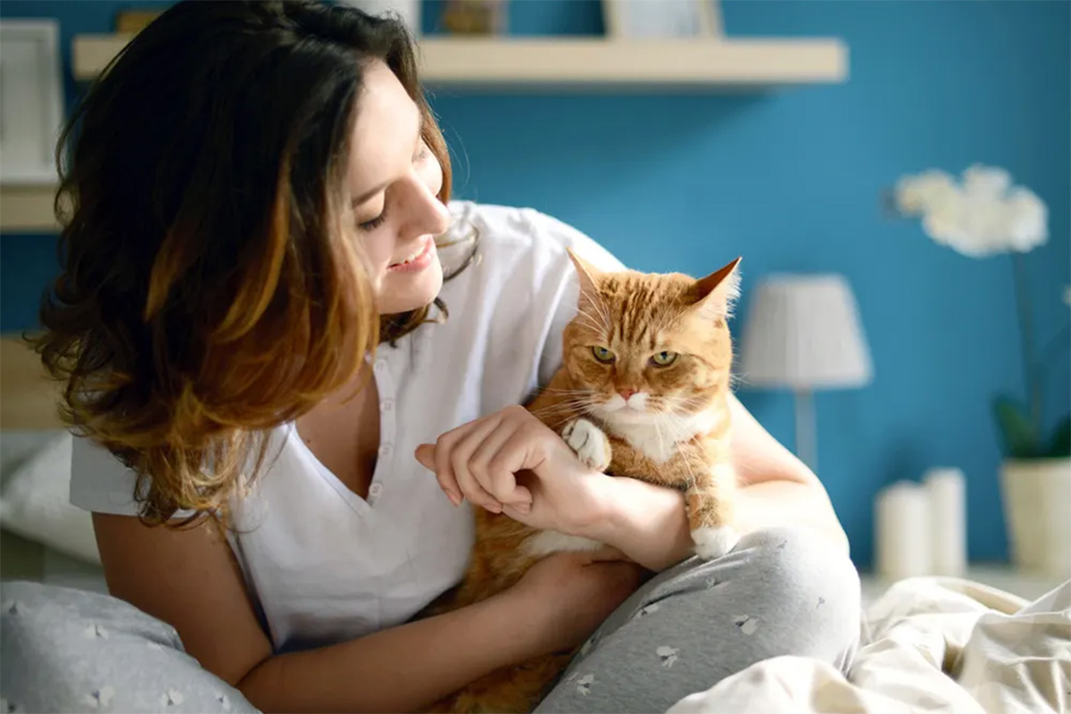 An orange cat makes an unhappy face while a woman holds them.
