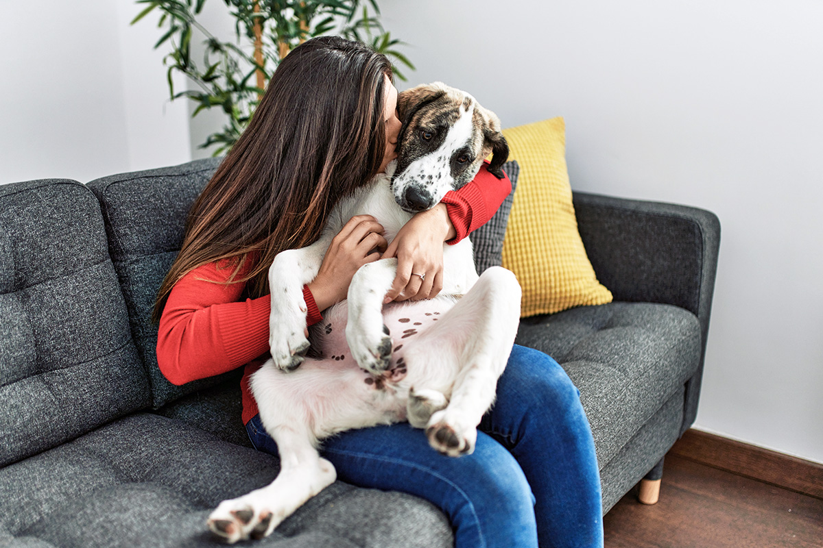 person hugging dog on bed