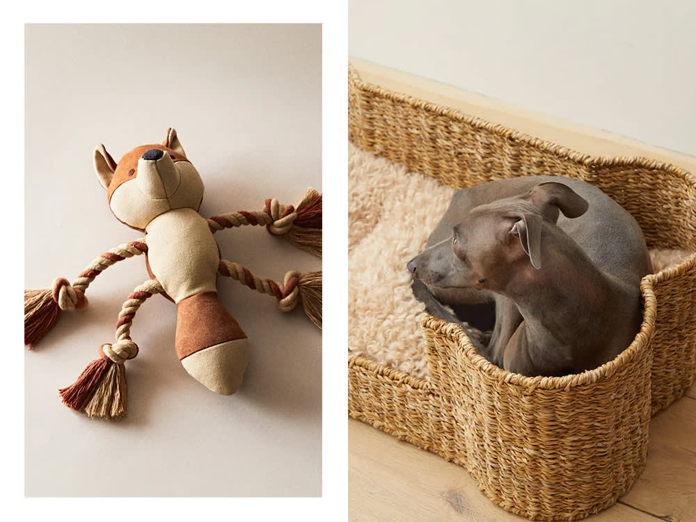 a Zara dog toy; a small Zara dog bed