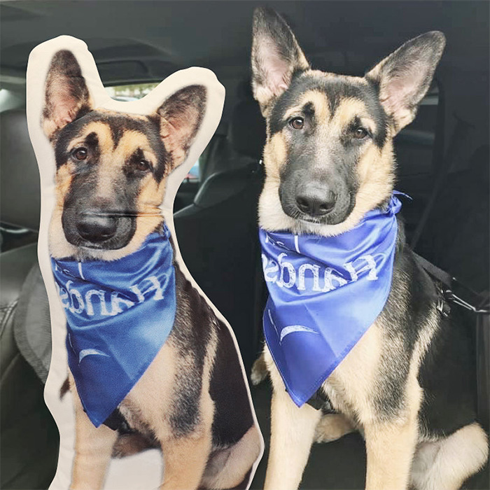 images of a pillow in the shape of a pet