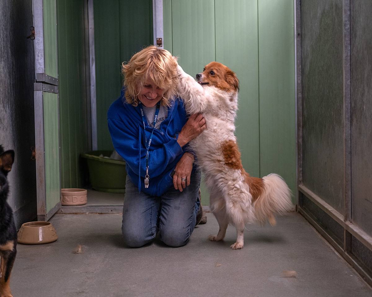 woman in a shelter cuddling a dog