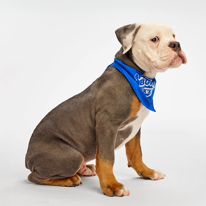 Carl Puppy Bowl 2025