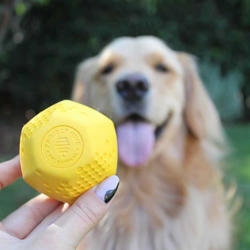 project hive dog toy