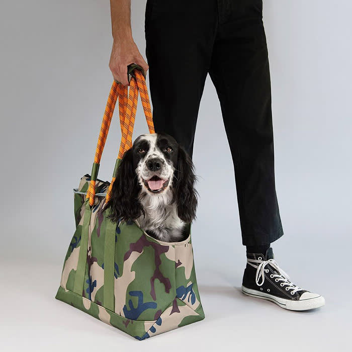 dog in a camo carry bag