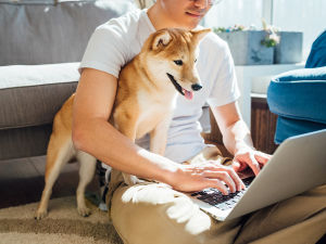 A man sitting on the floor with his arm around a dog while working on his laptop. 