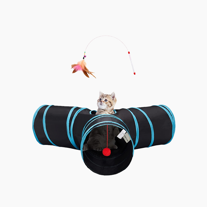 the Cat Tunnel in black and light blue