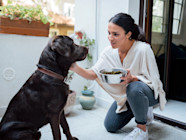 How Many Cups Are In 30 Lbs Of Dog Food Factory Sale Laseb fae ufmg br