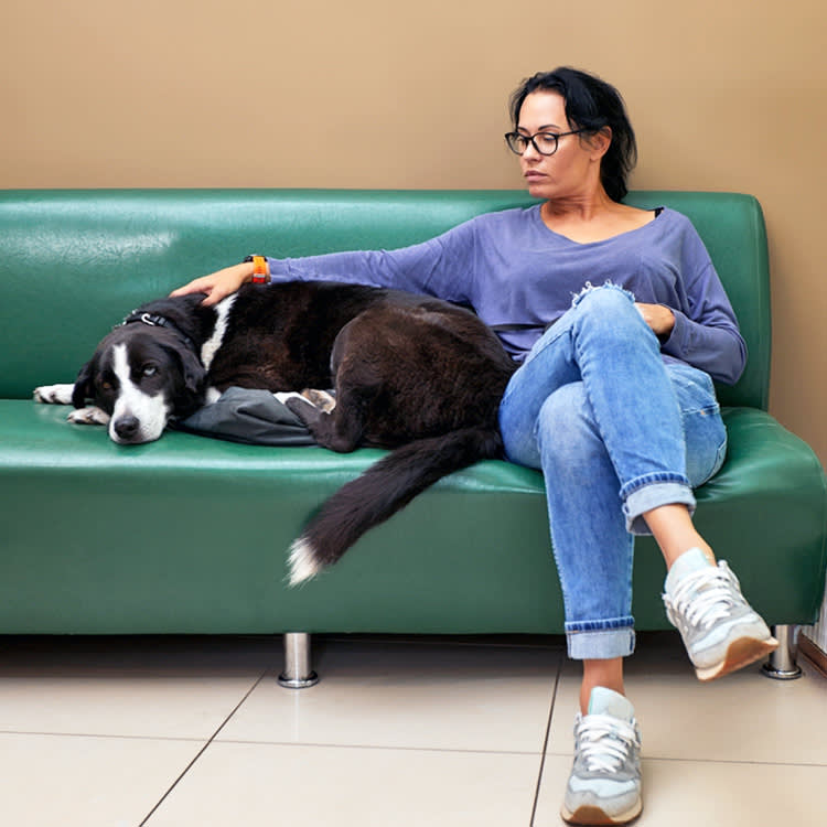Woman comforting large black and white dog on the couch.