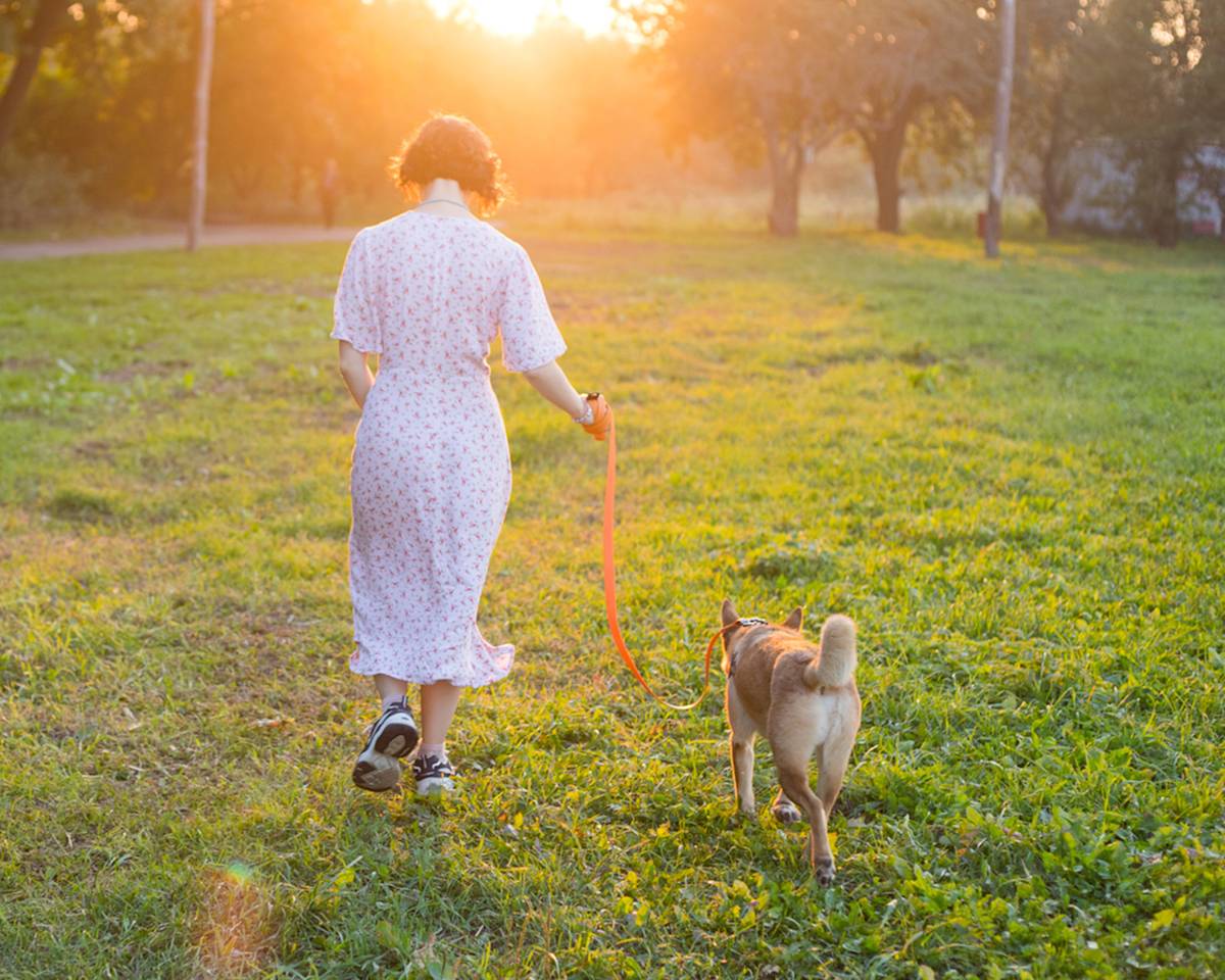 Person in dress walking away on a field with a dog
