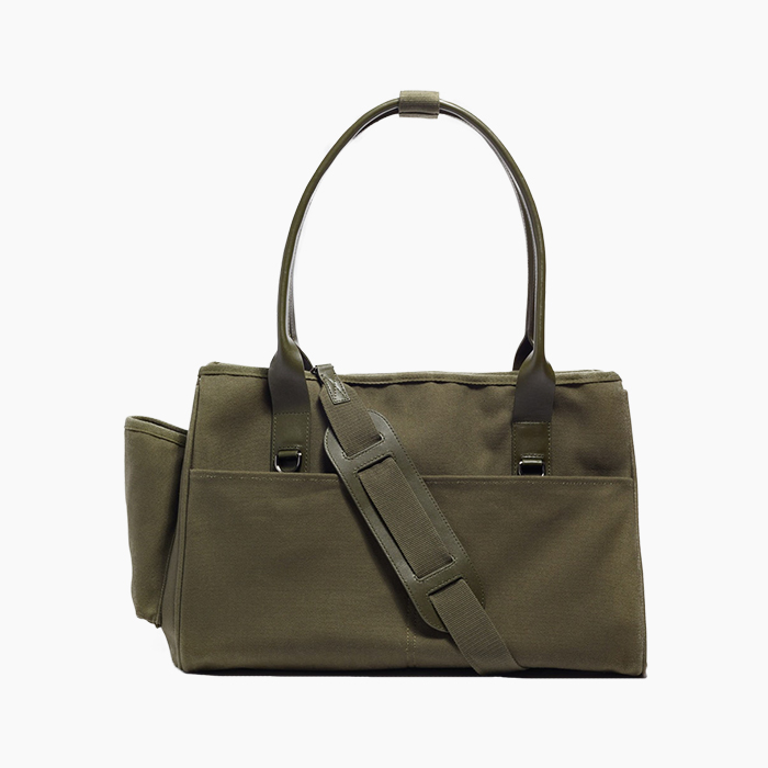 the pet carrier in green