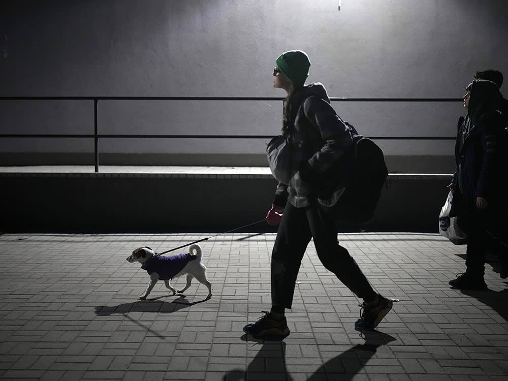 a man walks a small dog