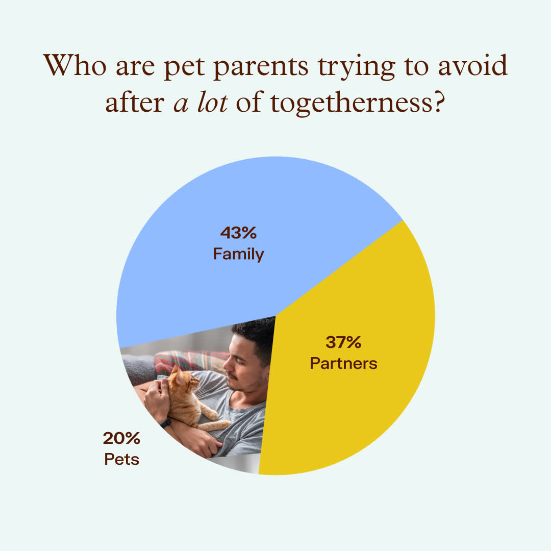 wildest managing relationships with pets survey results