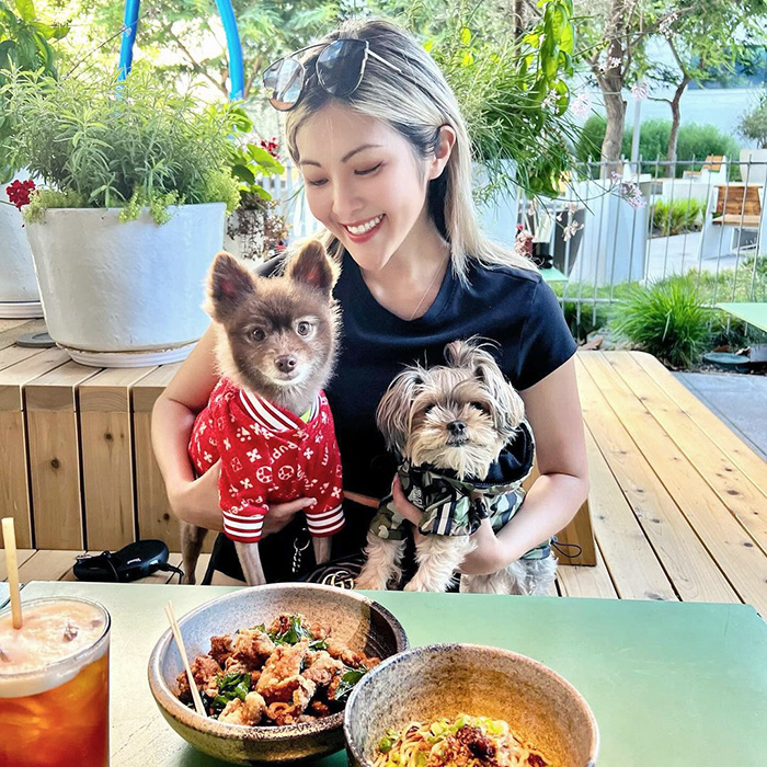 Two dogs sit at an outdoor table at Pine and Crane 