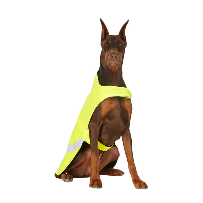 STUTTERHEIM Yellow Safety Dog Raincoat