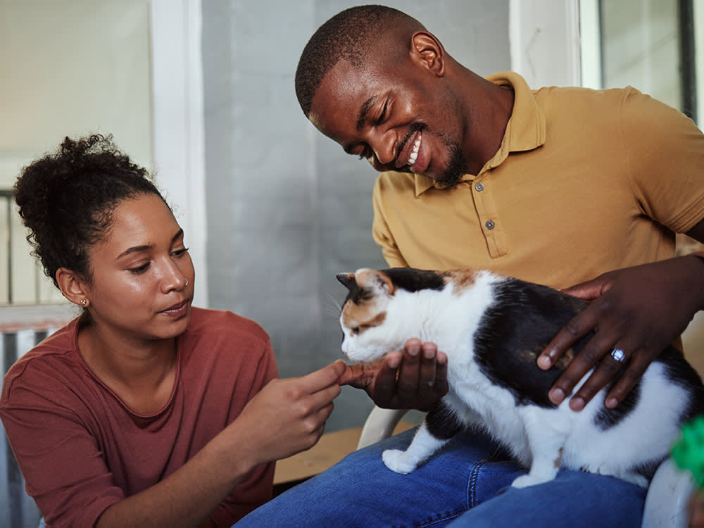 Couple with a cat