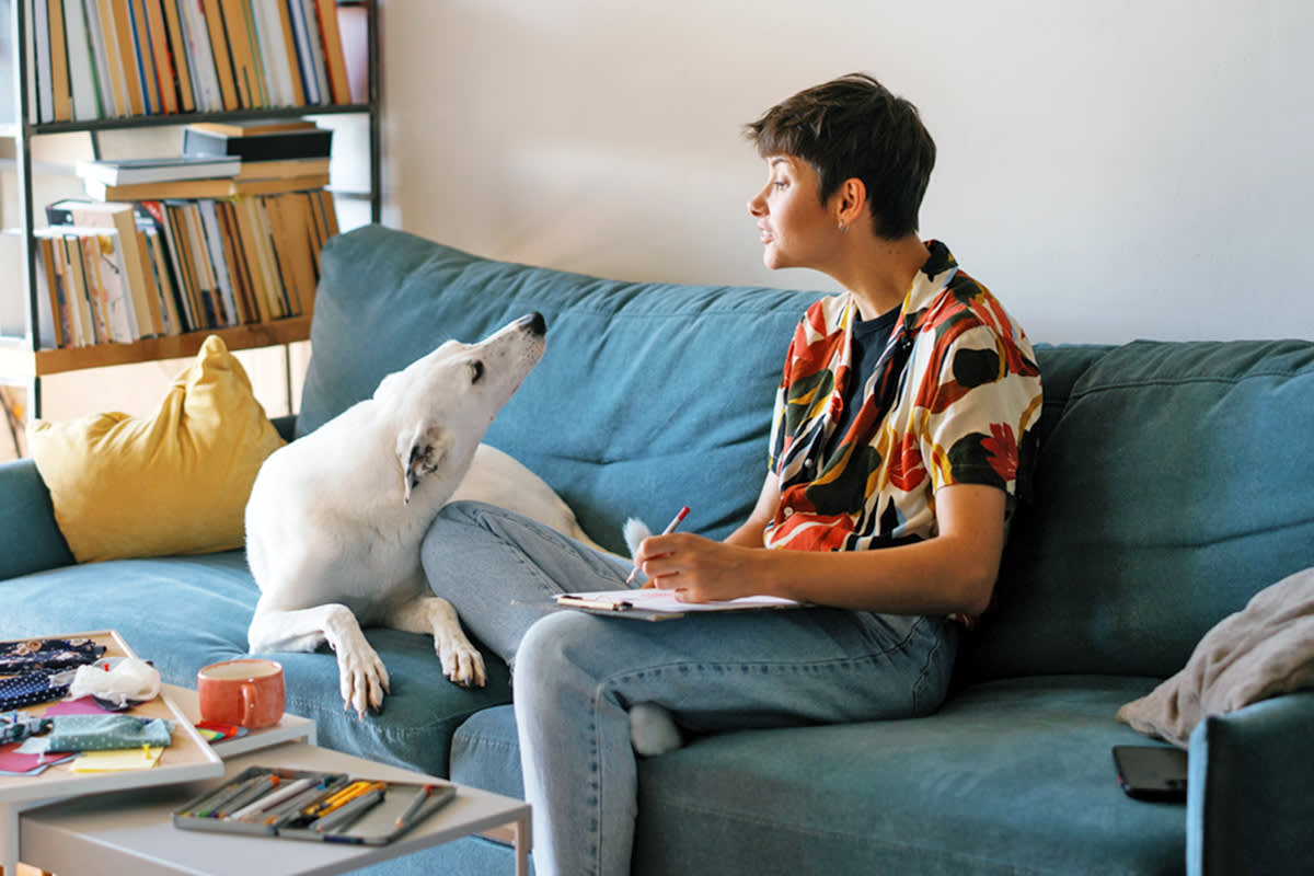 Person looking at a white dog
