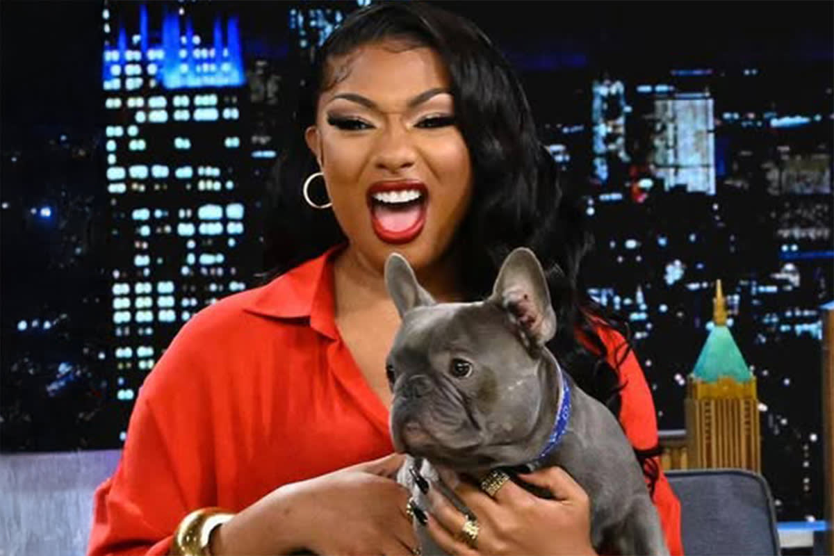 Megan Thee Stallion with a dog